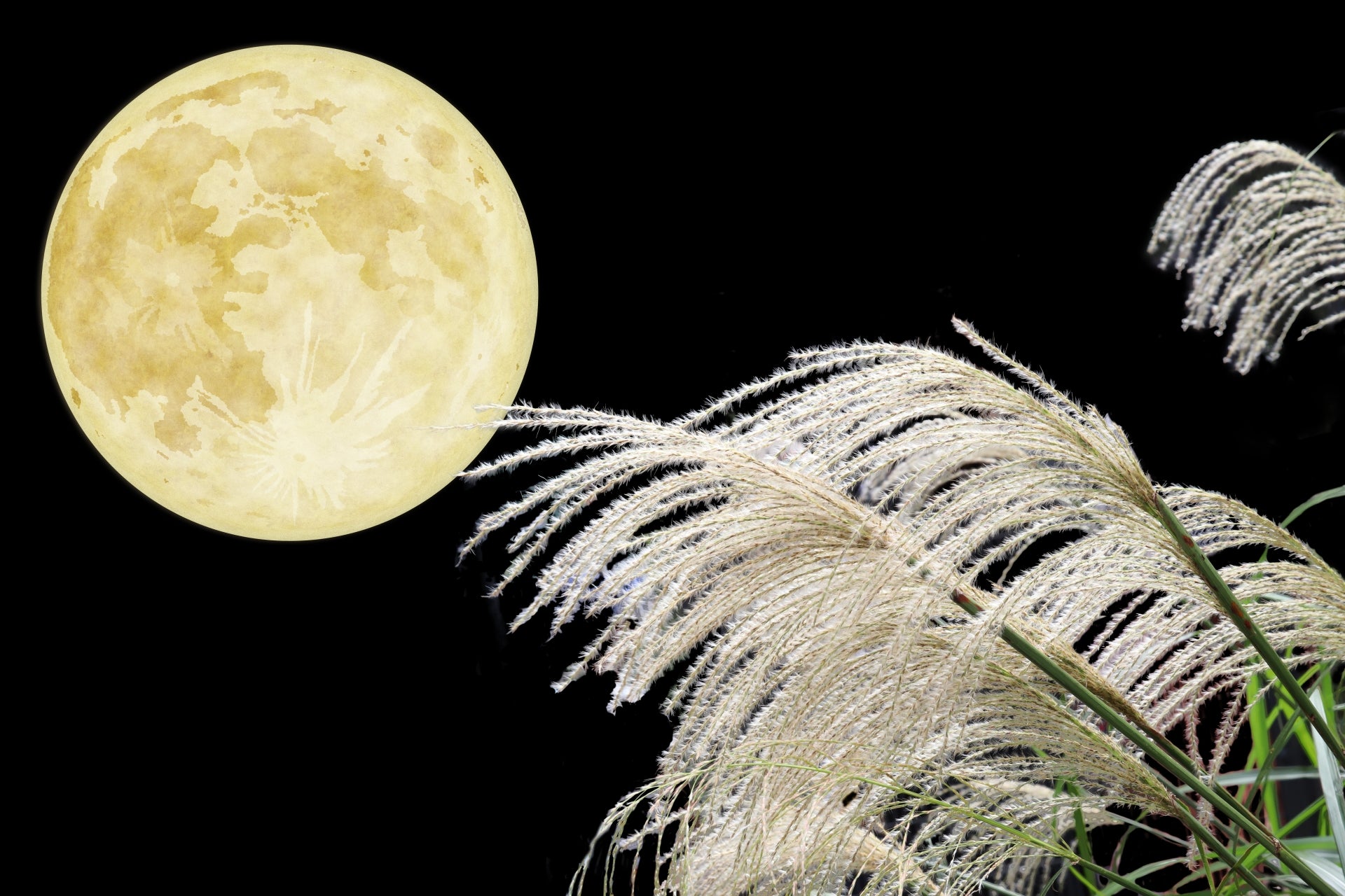 Tsukimi: Japan's Enchanting Moon-Viewing Festival