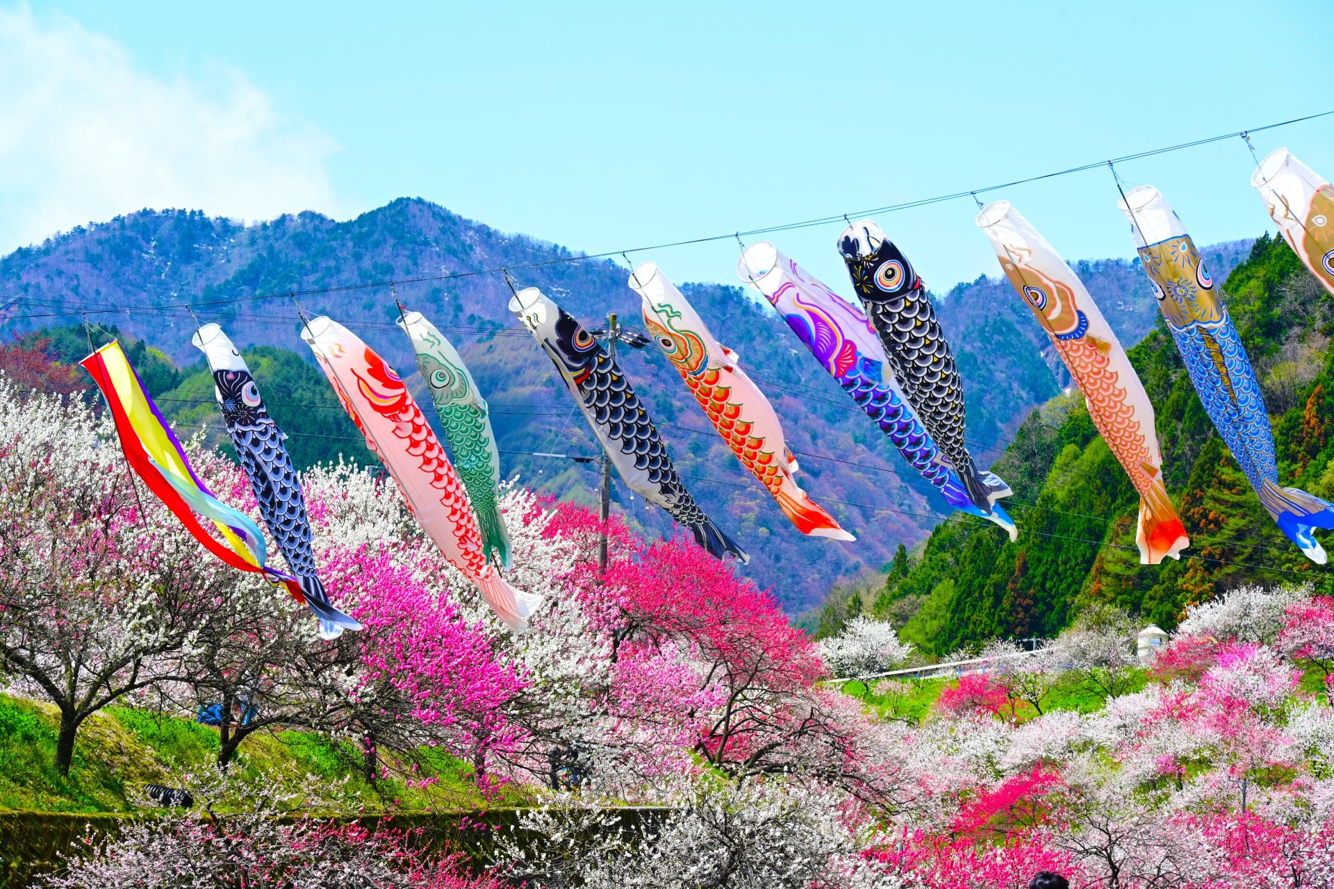 Golden Week and Ultimate form of transportation