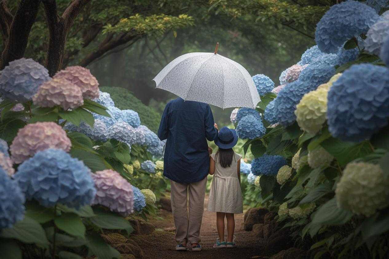 Rainy Season In Japan