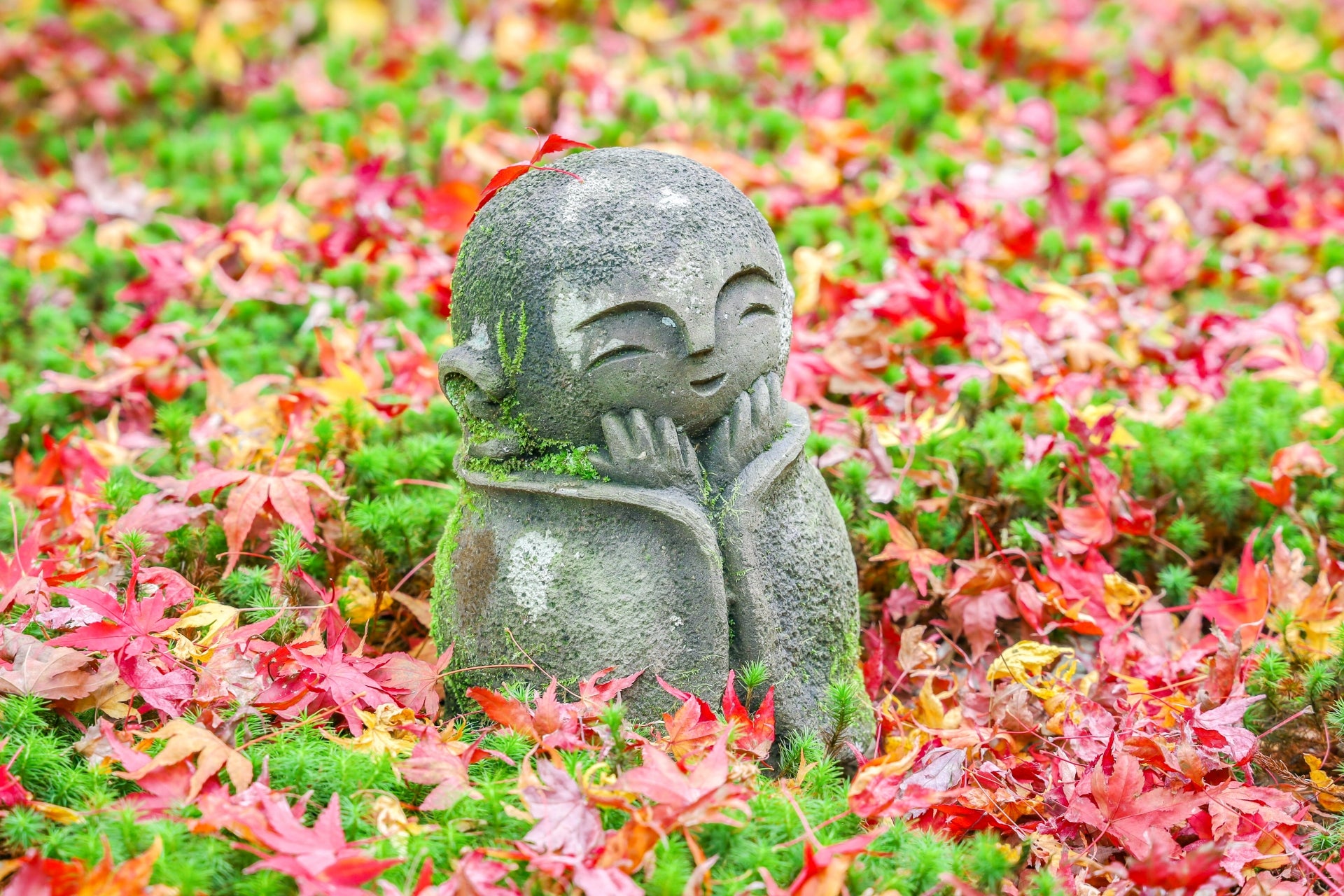 Autumn Colors of Kyoto