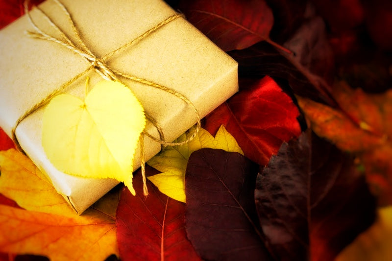 🍁 Authentic Japanese Autumn Crafts: Bringing the Season to Your Hands, Perfect for Gifting 🍁