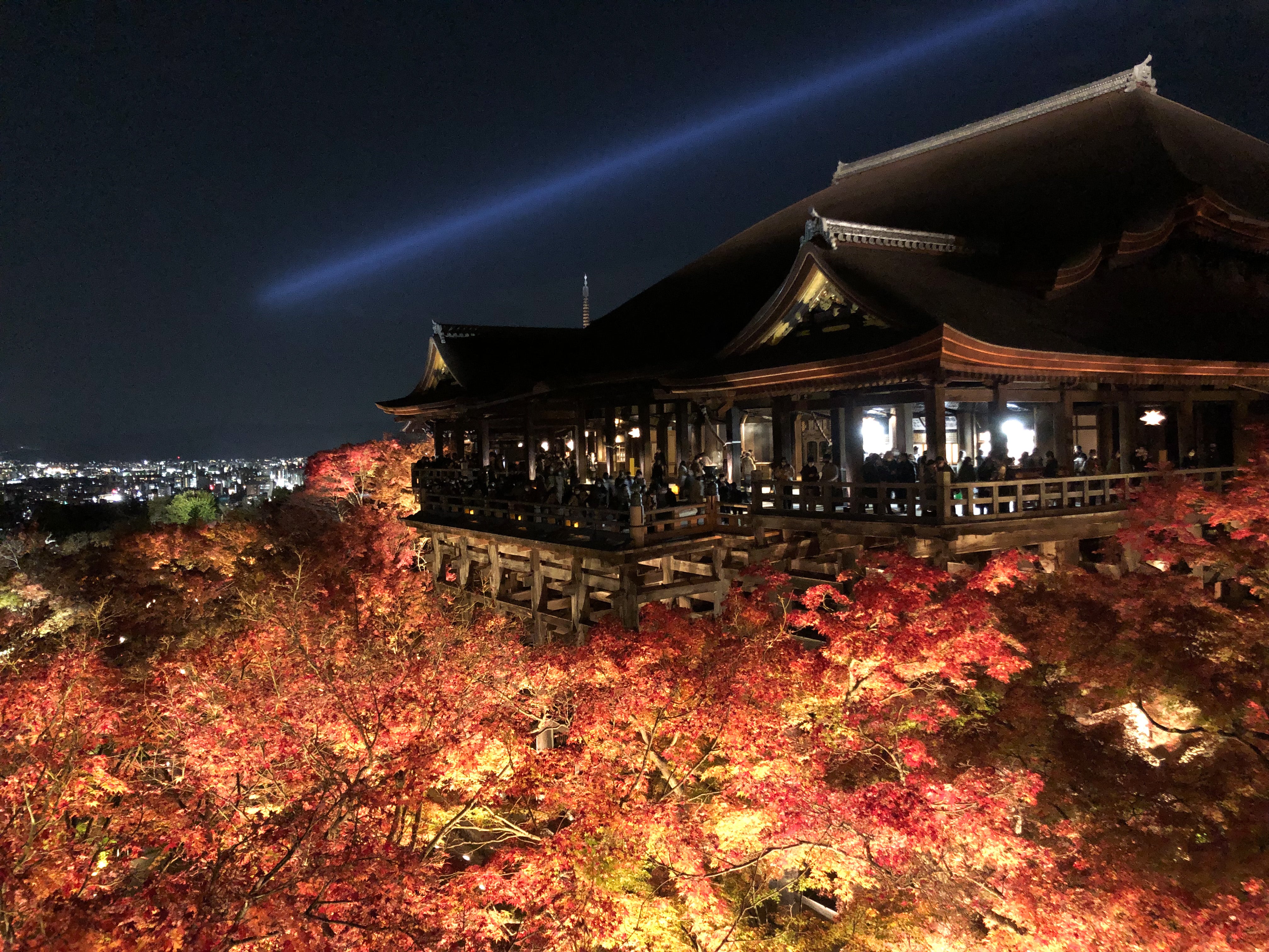 Autumn Night Visits in Kyoto 2021