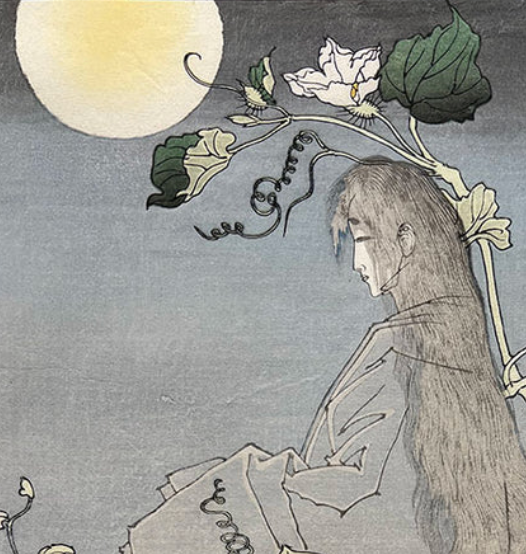 One Hundred Aspects of the Moon