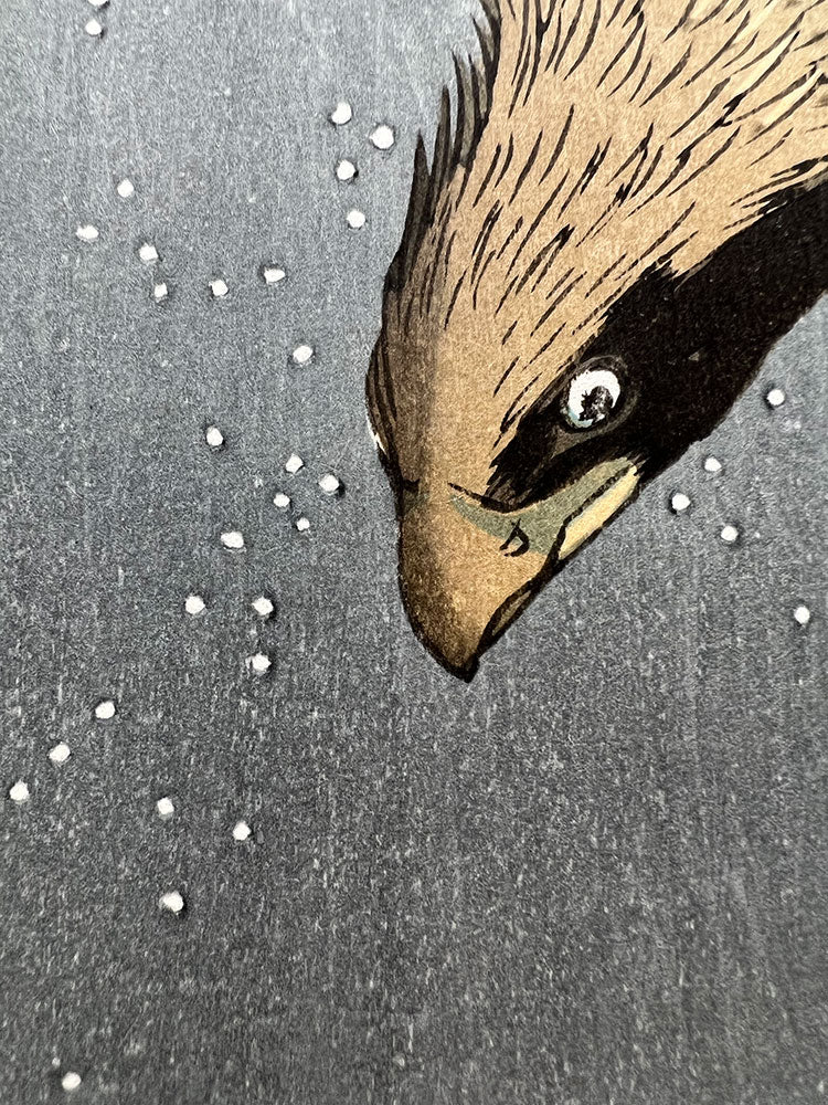 Woodblock print "View No.107 Jūmantsubo Plain at Fukagawa Susaki" by HIROSHIGE Published by the Print Association Tokyo