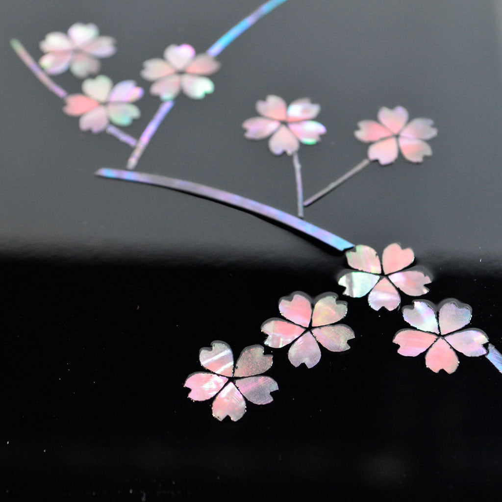 Lacquerware Pen Box with Raden