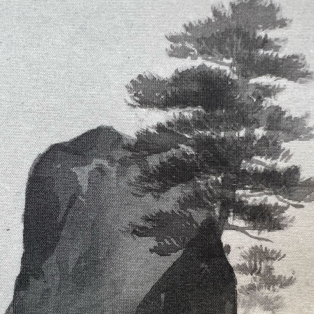 Japanese Hanging Scroll Kakejiku Tomohiro Shimada "Shan Shui with Waves"