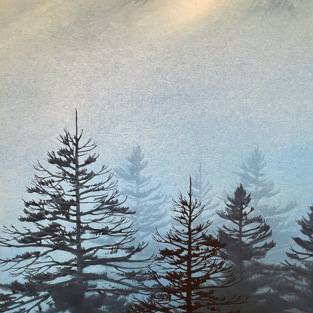 Japanese Hanging Scroll Kakejiku Suguru Otake "Mt. Fuji"