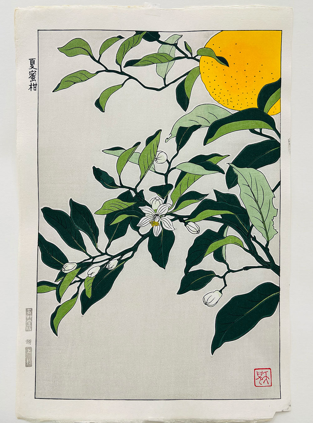 Woodblock printing "Summer mandarin oranges" by Kuzuhara Teru Published by UNSODO