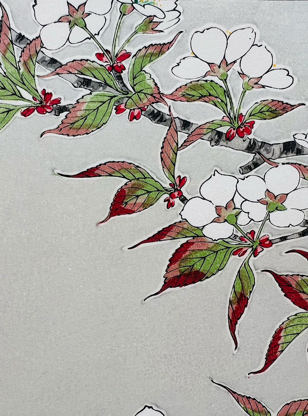 Woodblock printing "Cherry blossom" by Kawarazaki Shodo Published by UNSODO