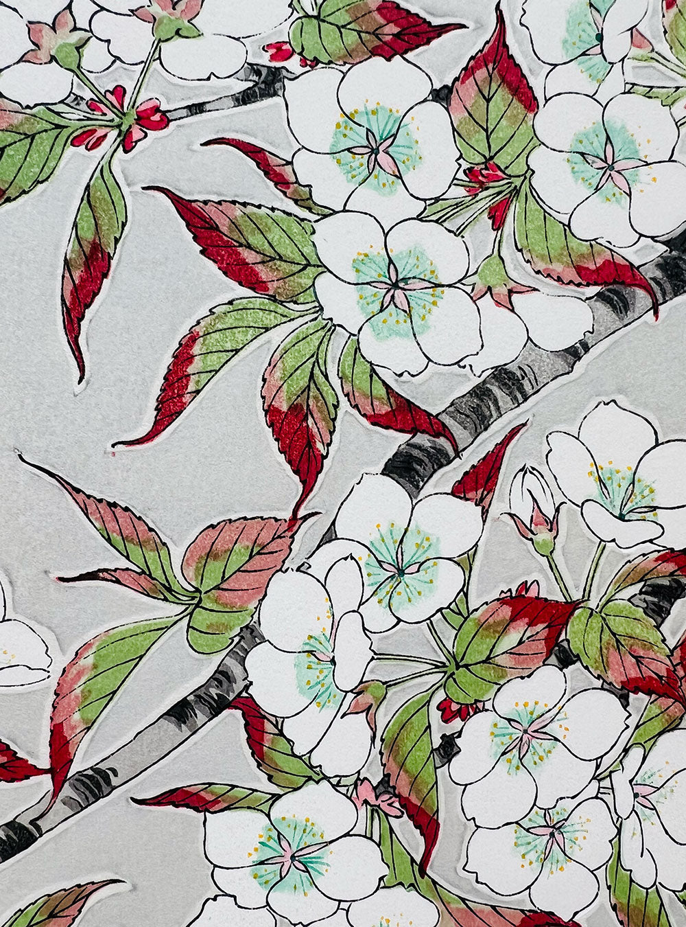 Woodblock printing "Cherry blossom" by Kawarazaki Shodo Published by UNSODO