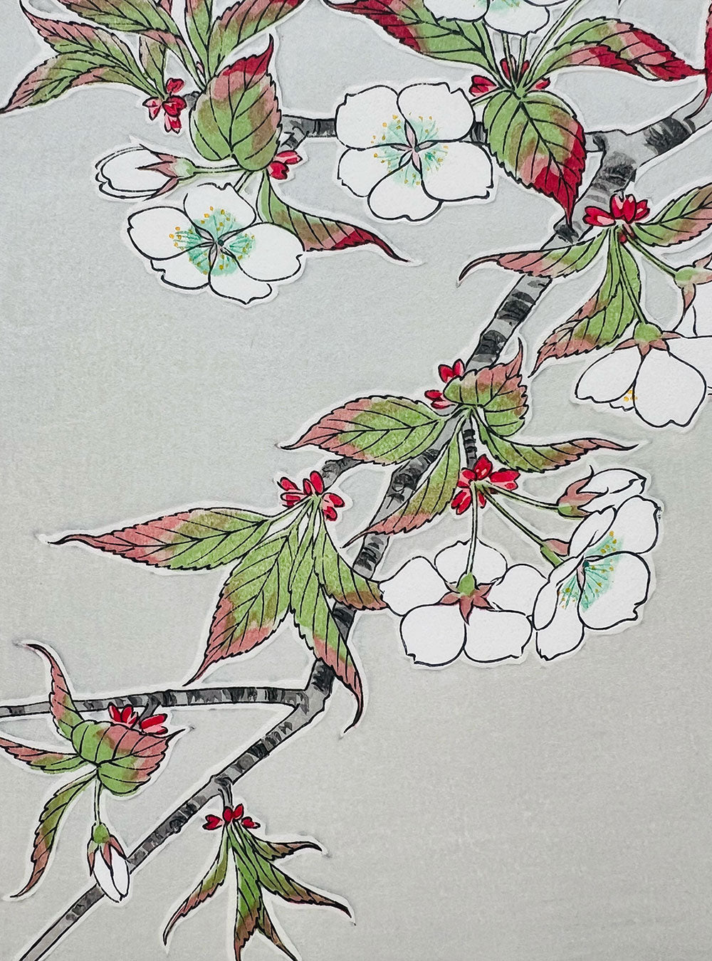 Woodblock printing "Cherry blossom" by Kawarazaki Shodo Published by UNSODO