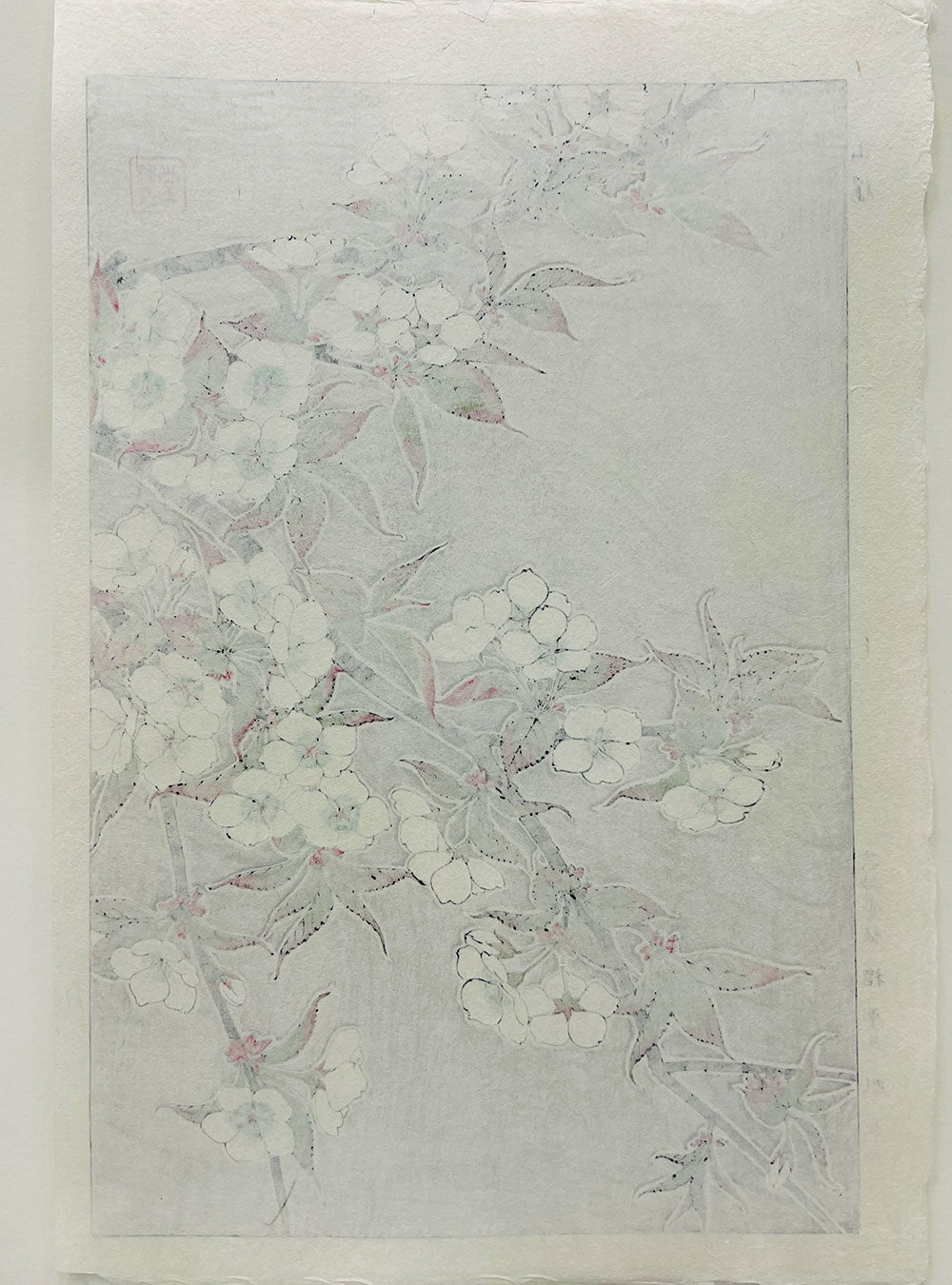 Woodblock printing "Cherry blossom" by Kawarazaki Shodo Published by UNSODO