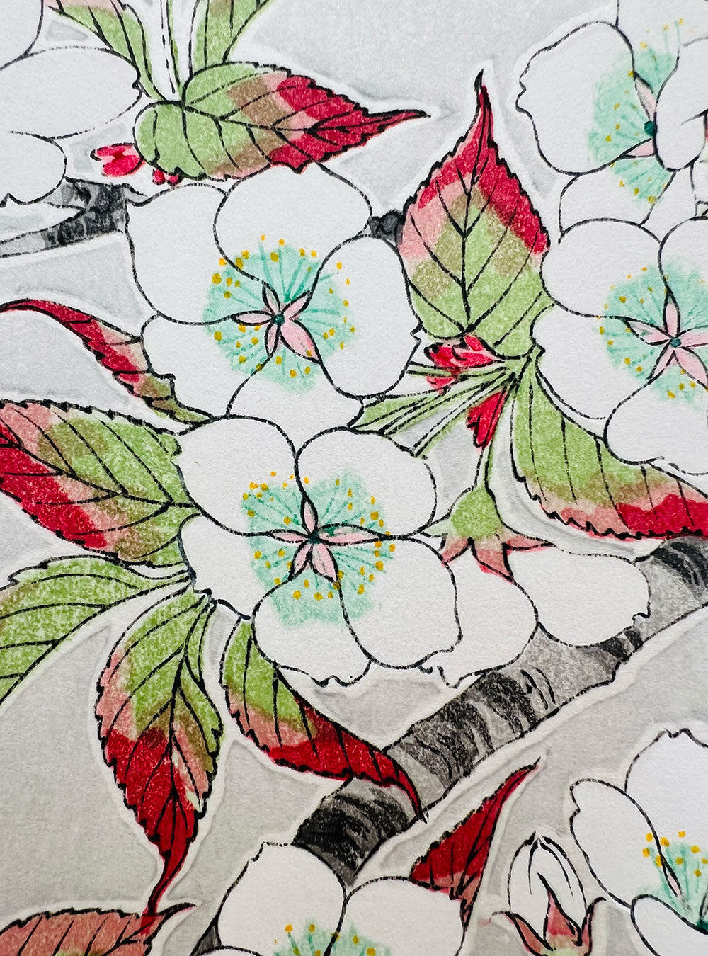 Woodblock printing "Cherry blossom" by Kawarazaki Shodo Published by UNSODO