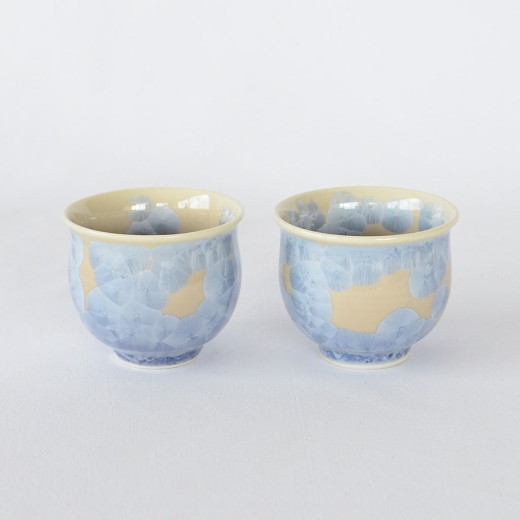 The Sake Enjoyment Set "Flower Crystal"