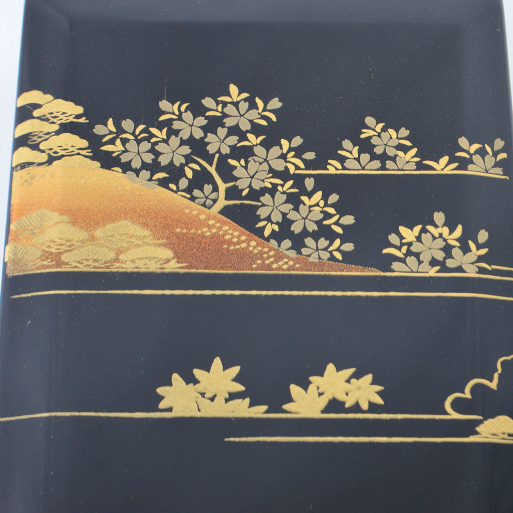 Lacquerware Pen Box with Velvet-Lined Interior