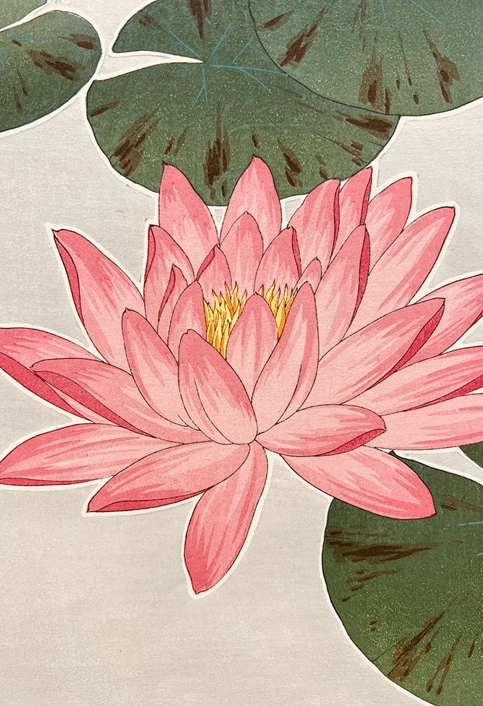 Woodblock print "F57 Water lily (Red)" by Kawarazaki Shodou Published by UNSODO