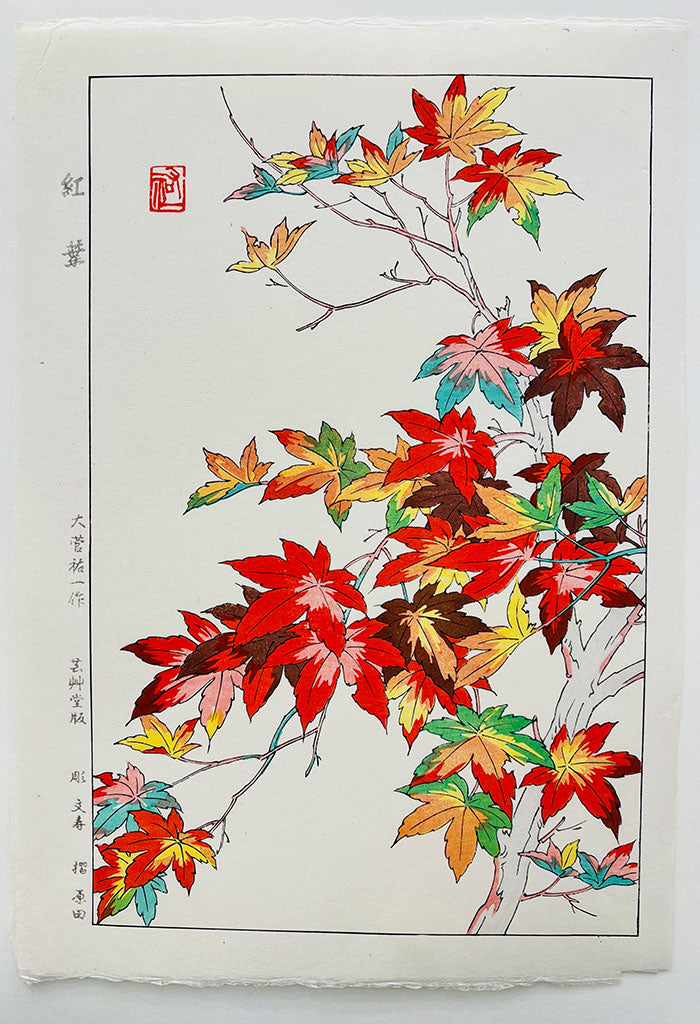 Woodblock print "Japanese Maple" by Osuga Yuichi Published by UNSODO
