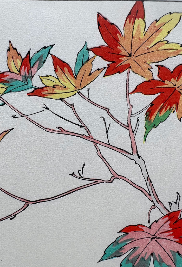 Woodblock print "Japanese Maple" by Osuga Yuichi Published by UNSODO