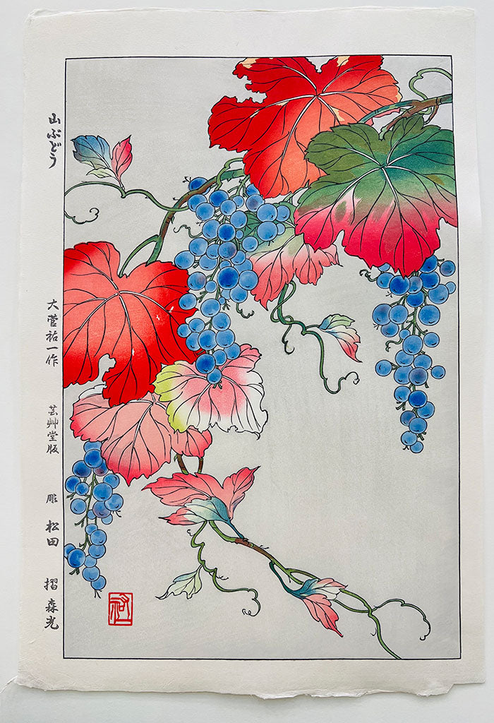 Woodblock print "Wild grapes" by Osuga Yuichi Published by UNSODO