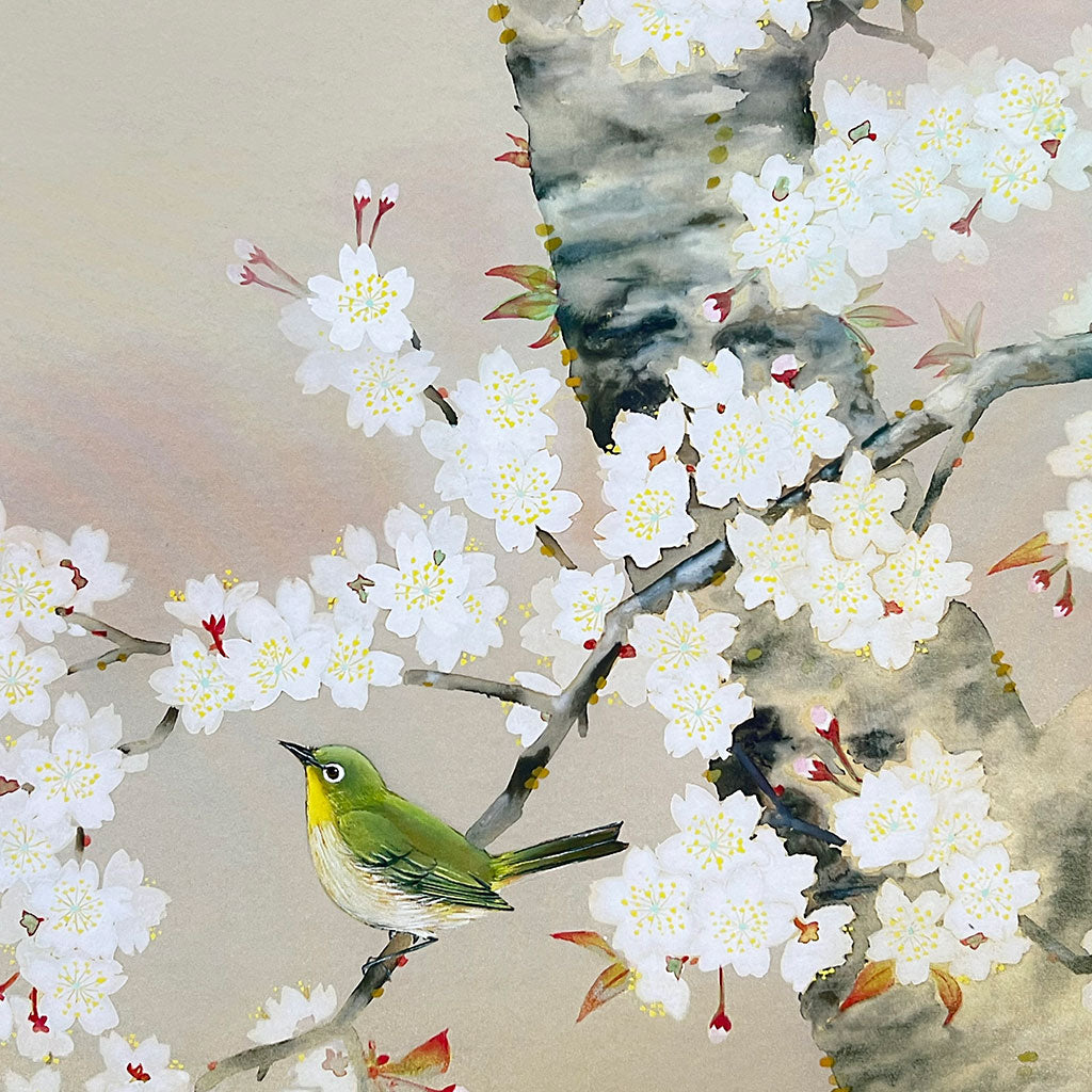 Japanese Hanging Scroll Kakejiku Toyo Kawamura "Cherry Blossoms with a Bird"