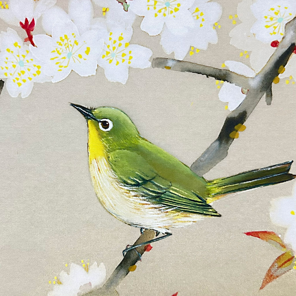 Japanese Hanging Scroll Kakejiku Toyo Kawamura "Cherry Blossoms with a Bird"