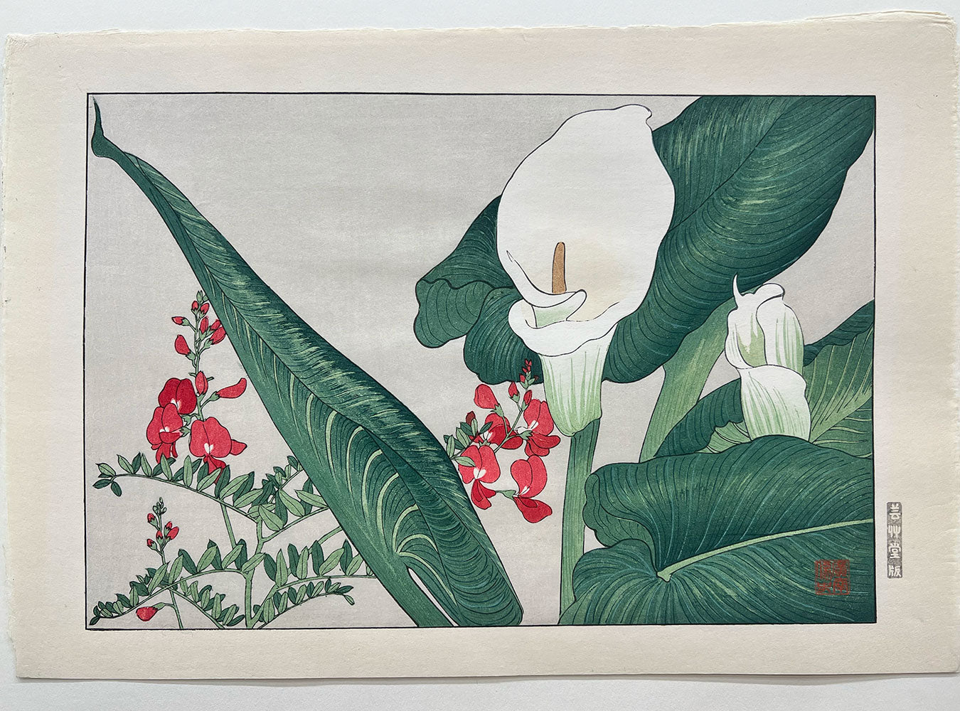 Woodblock print "Calla lily" by Tanigami Konan published by UNSODO