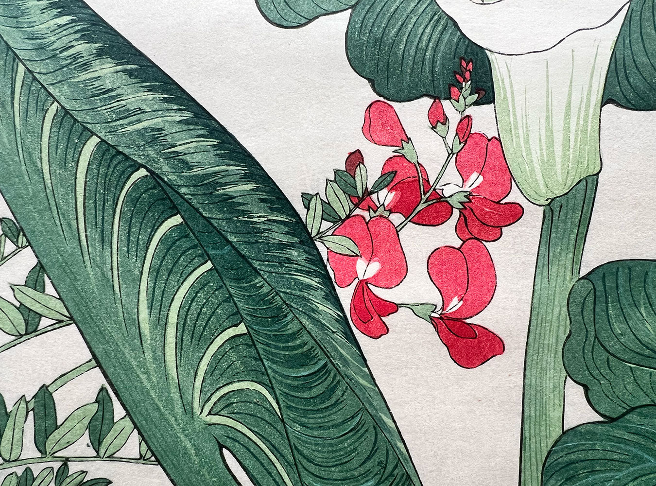 Woodblock print "Calla lily" by Tanigami Konan published by UNSODO