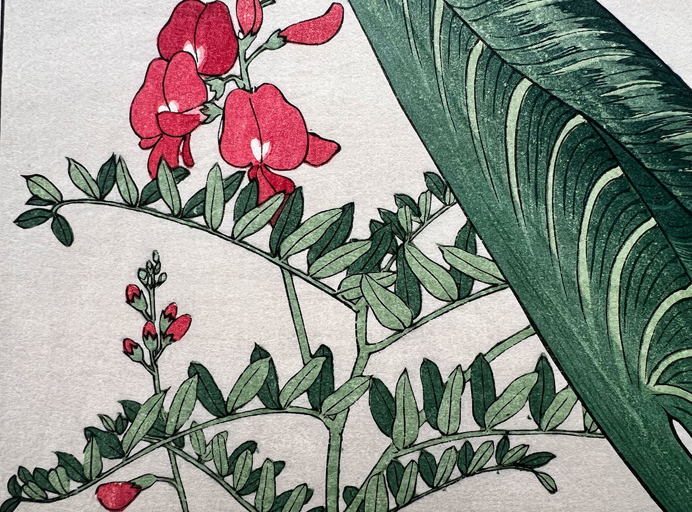 Woodblock print "Calla lily" by Tanigami Konan published by UNSODO