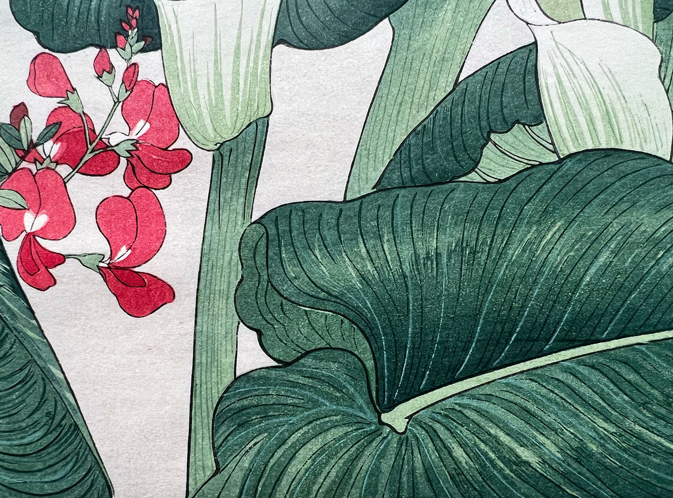 Woodblock print "Calla lily" by Tanigami Konan published by UNSODO