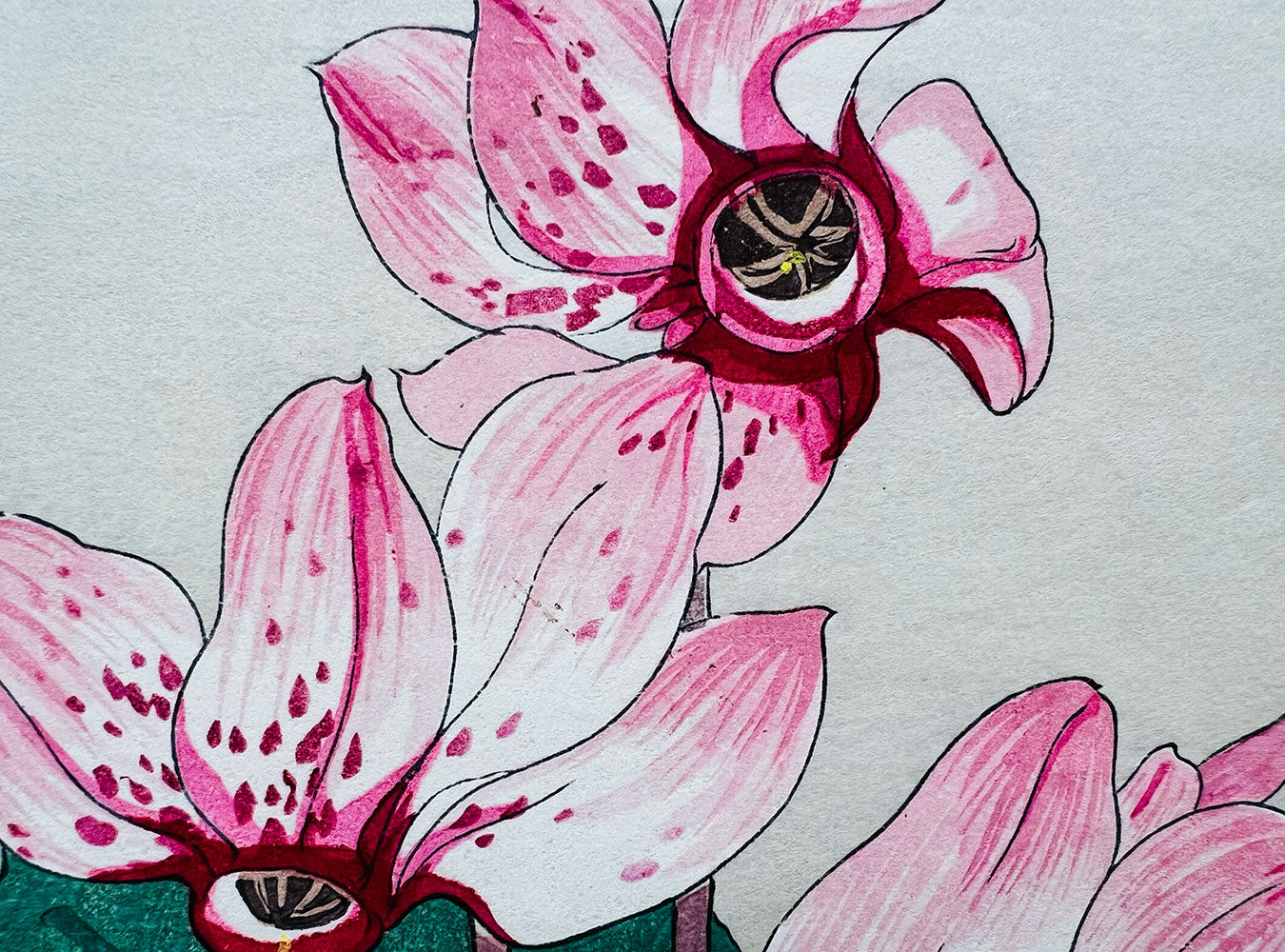Woodblock print "Cyclamen" by Tanigami Konan published by UNSODO
