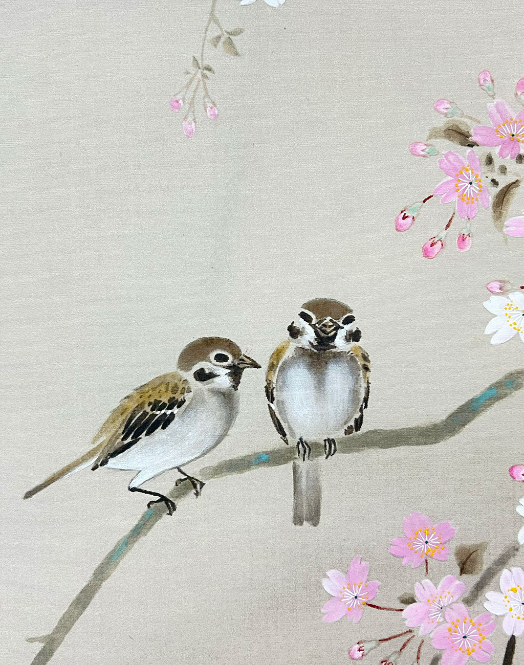 Japanese Hanging Scroll Kakejiku Shizuka Hojo ”Cherry Blossoms with Little Birds”
