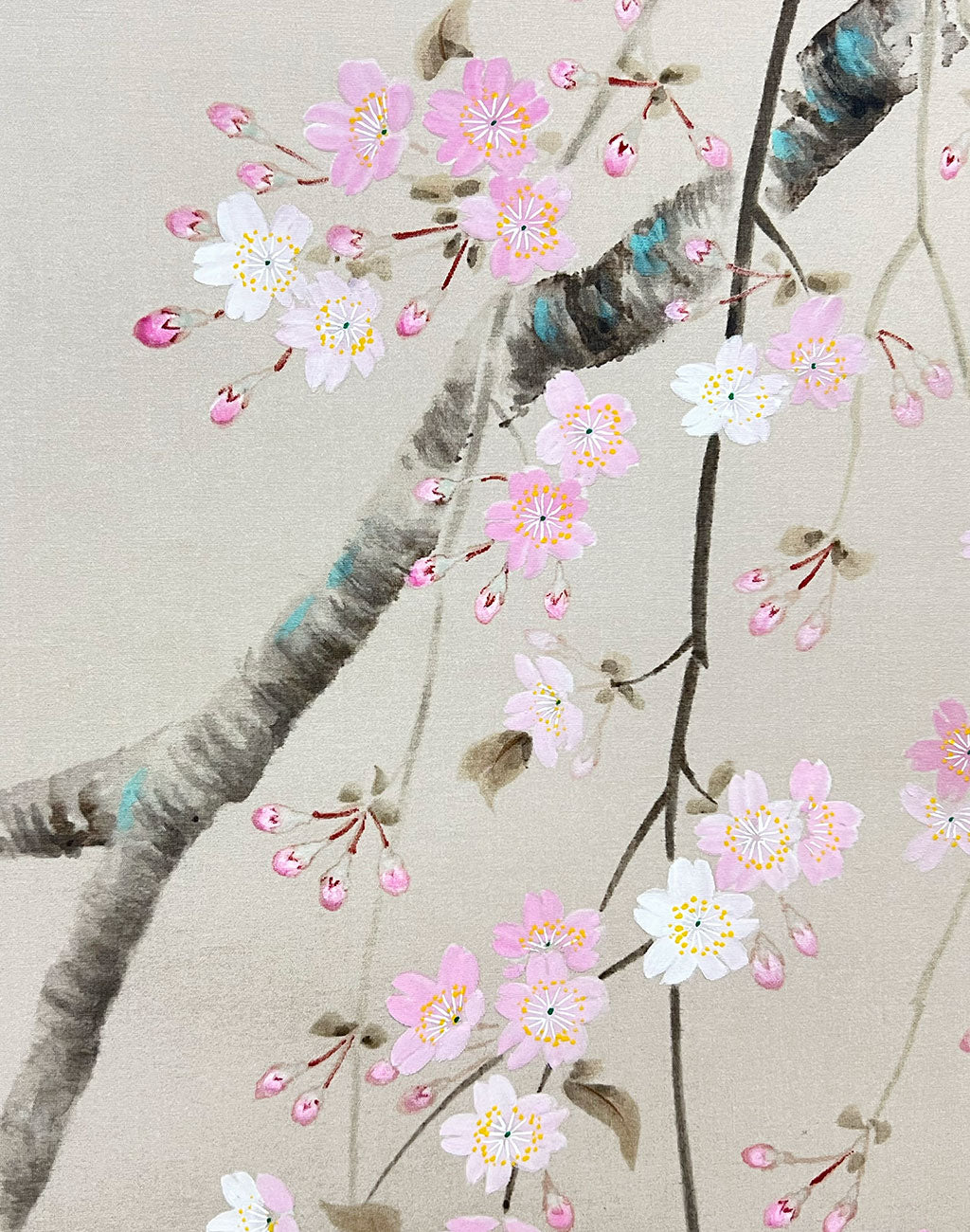 Japanese Hanging Scroll Kakejiku Shizuka Hojo ”Cherry Blossoms with Little Birds”