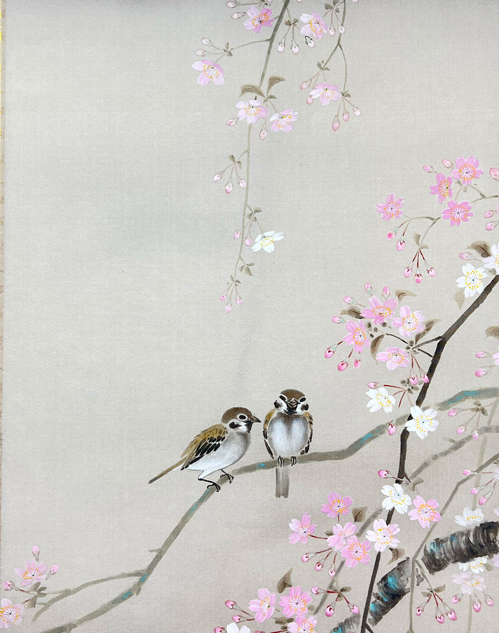 Japanese Hanging Scroll Kakejiku Shizuka Hojo ”Cherry Blossoms with Little Birds”