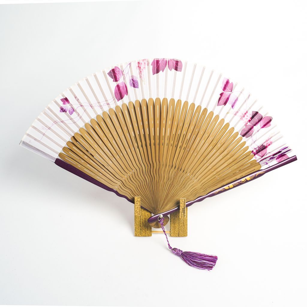 Women's Folding Fan Set "Kudzu"
