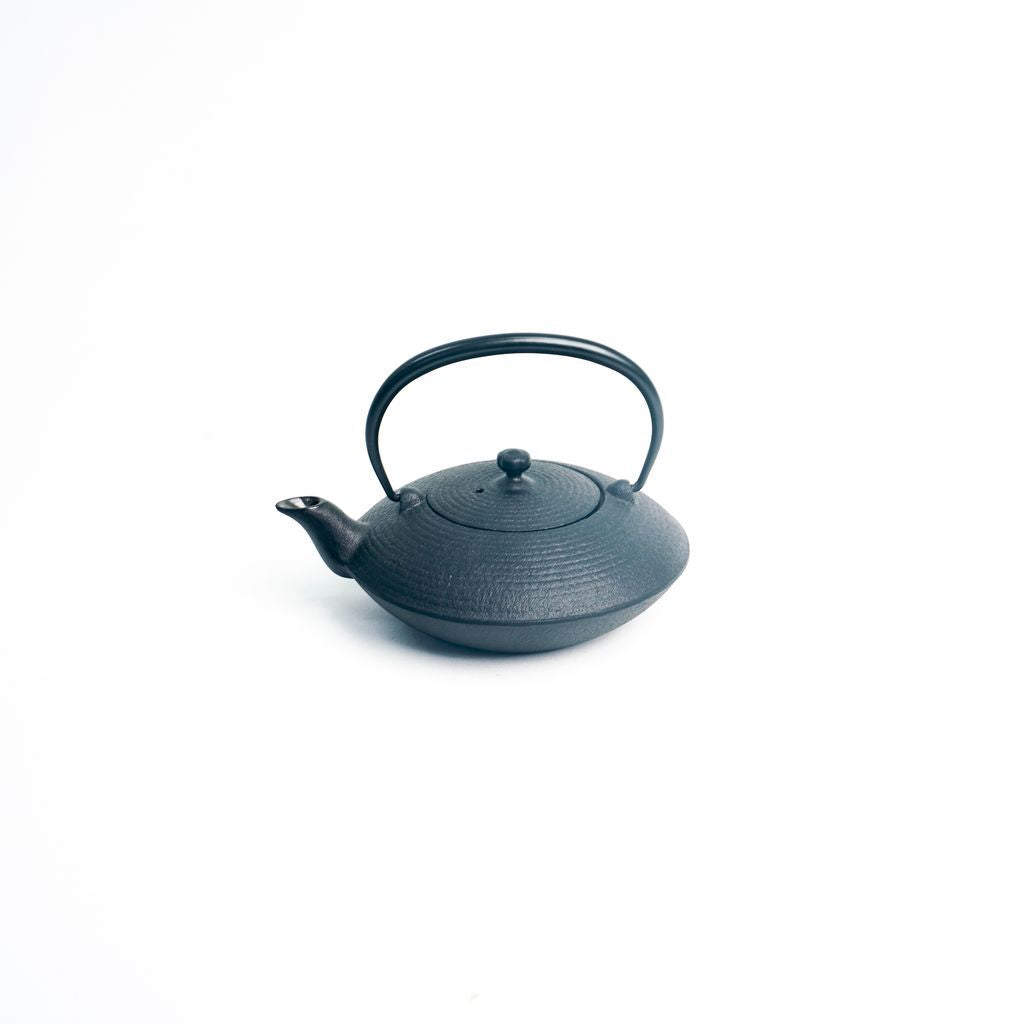 Nambu Ironware Teapot "Hiragataitome 0.4L"