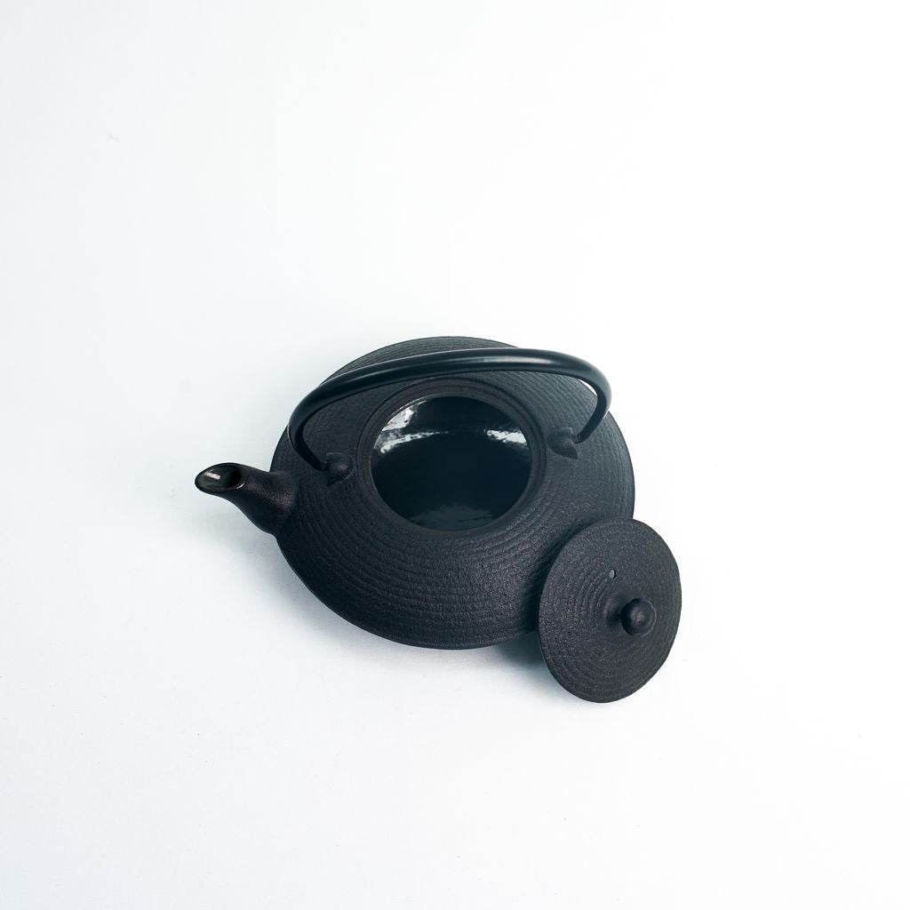 Nambu Ironware Teapot "Hiragataitome 0.4L"