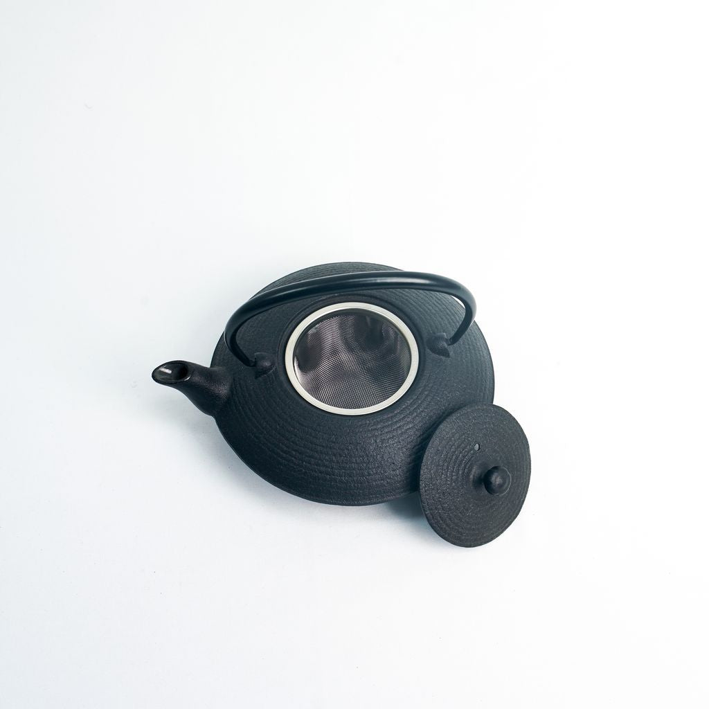 Nambu Ironware Teapot "Hiragataitome 0.4L"