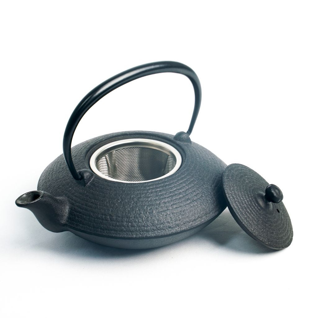 Nambu Ironware Teapot "Hiragataitome 0.4L"