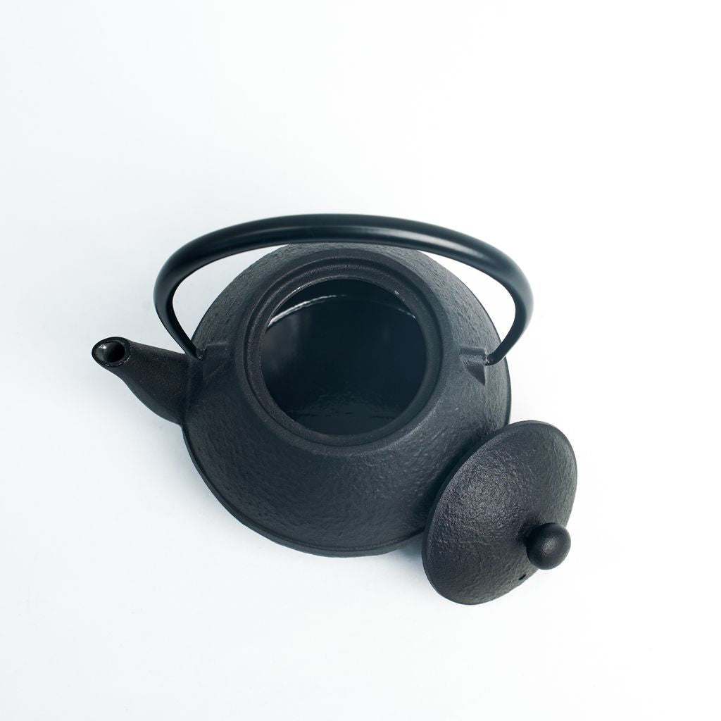Nambu Ironware Teapot "Tamago gata 0.55L"