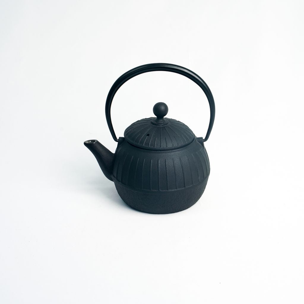 Nambu Ironware Teapot "Chigusa 0.55L"