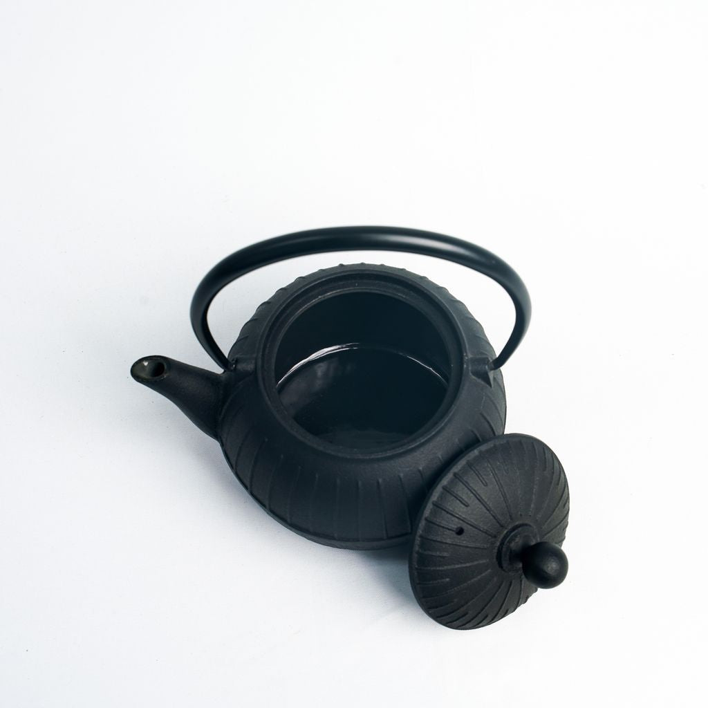 Nambu Ironware Teapot "Chigusa 0.55L"