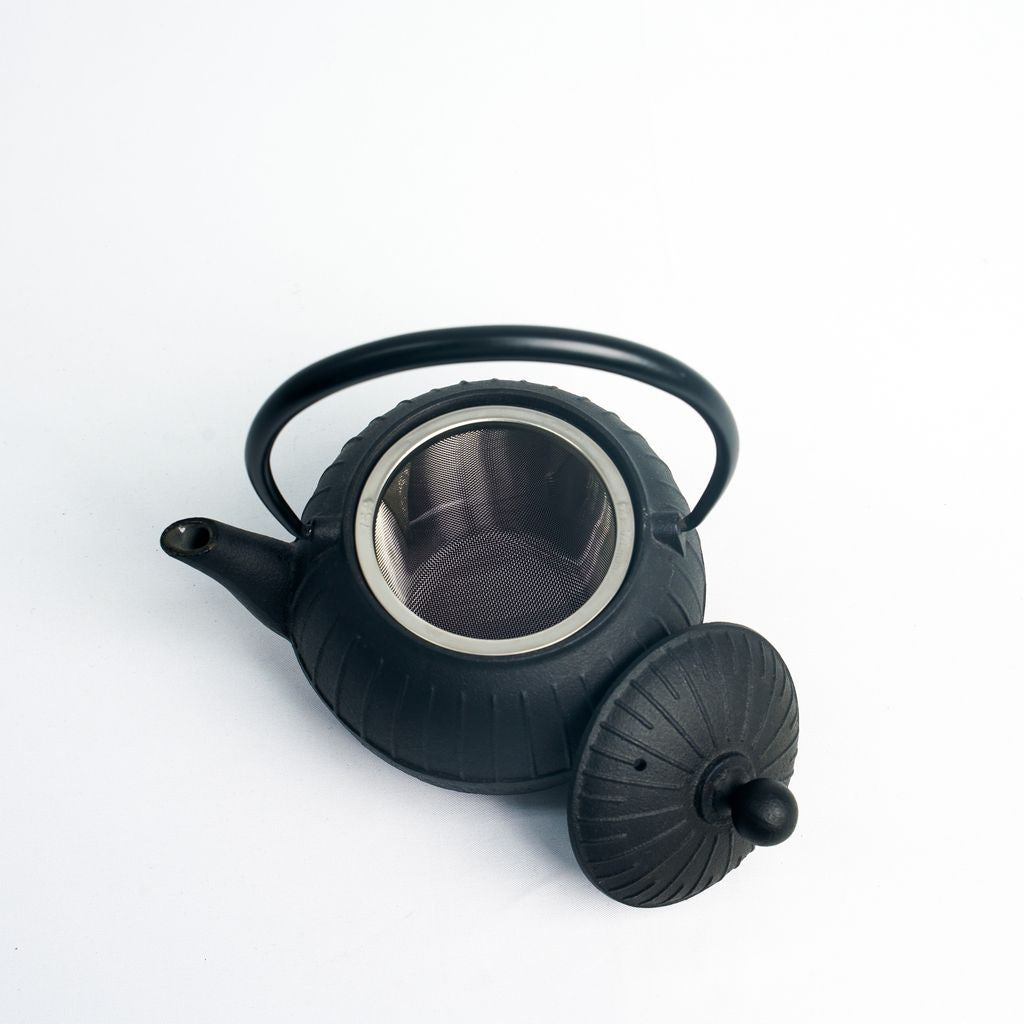 Nambu Ironware Teapot "Chigusa 0.55L"