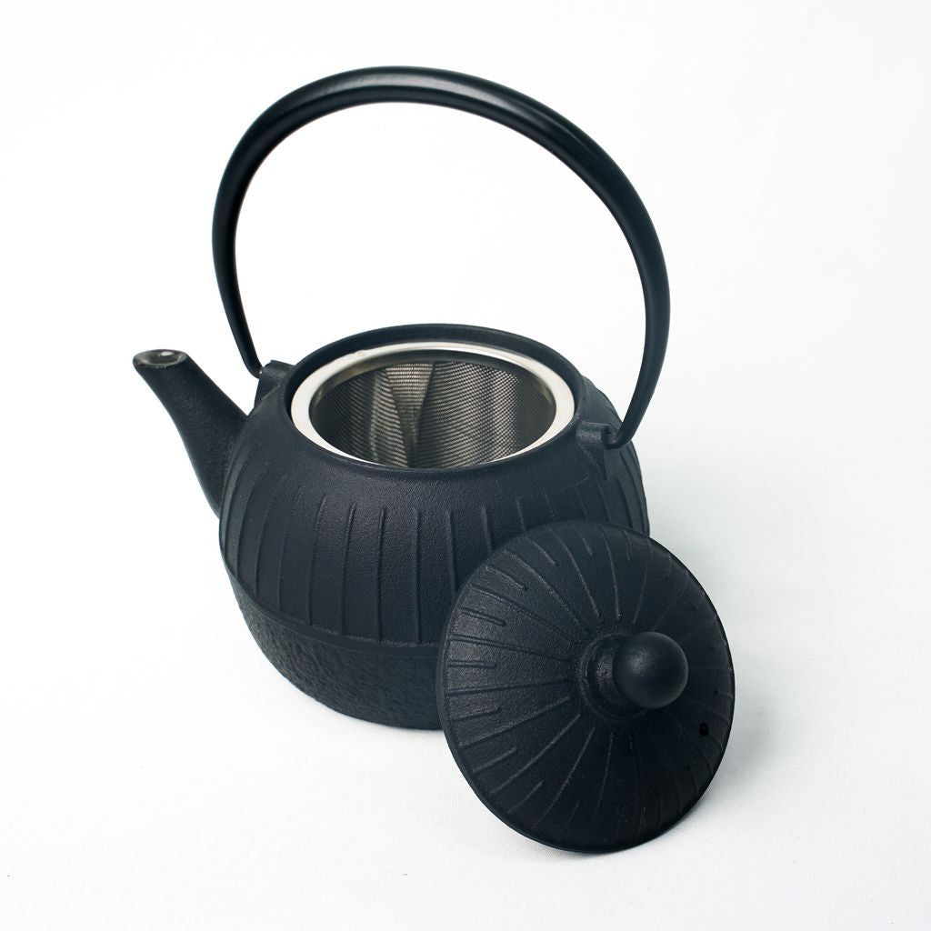 Nambu Ironware Teapot "Chigusa 0.55L"