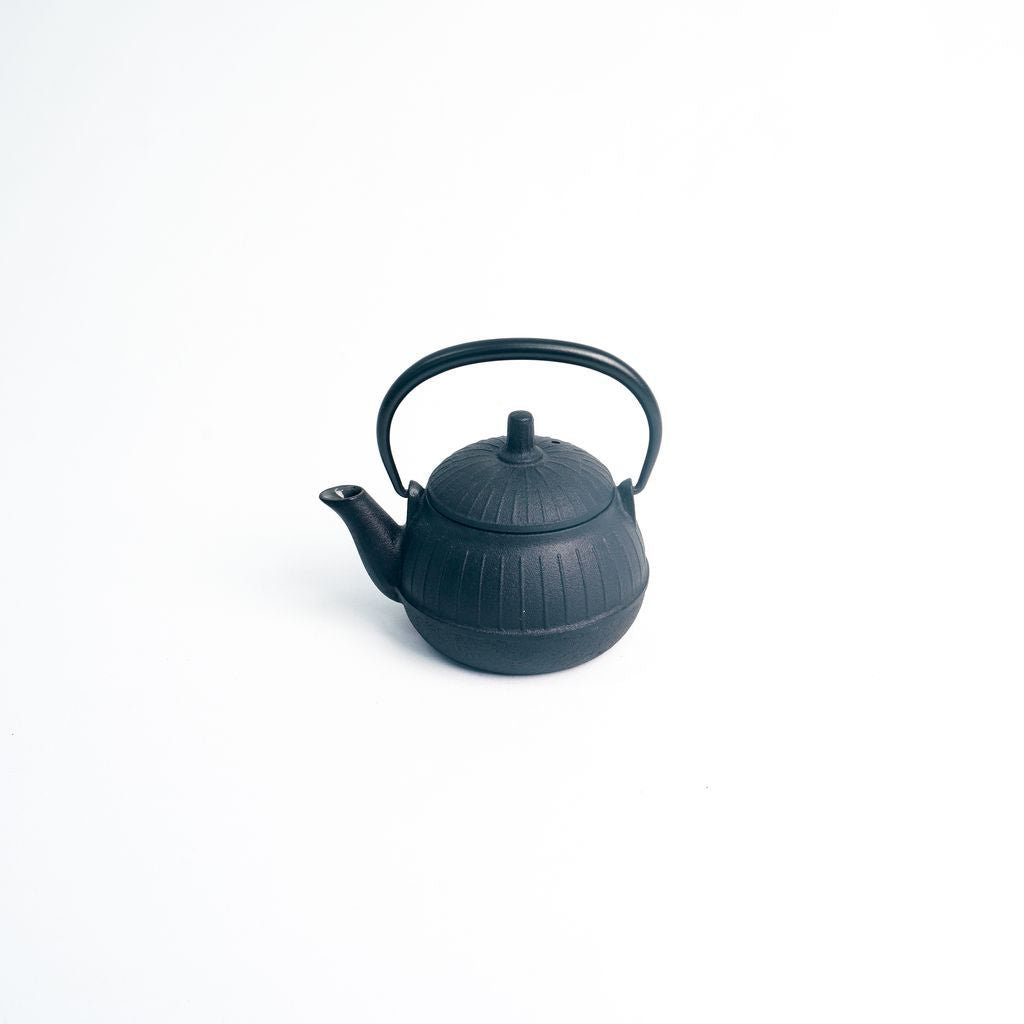Nambu Ironware Teapot "Chigusa 0.25L"