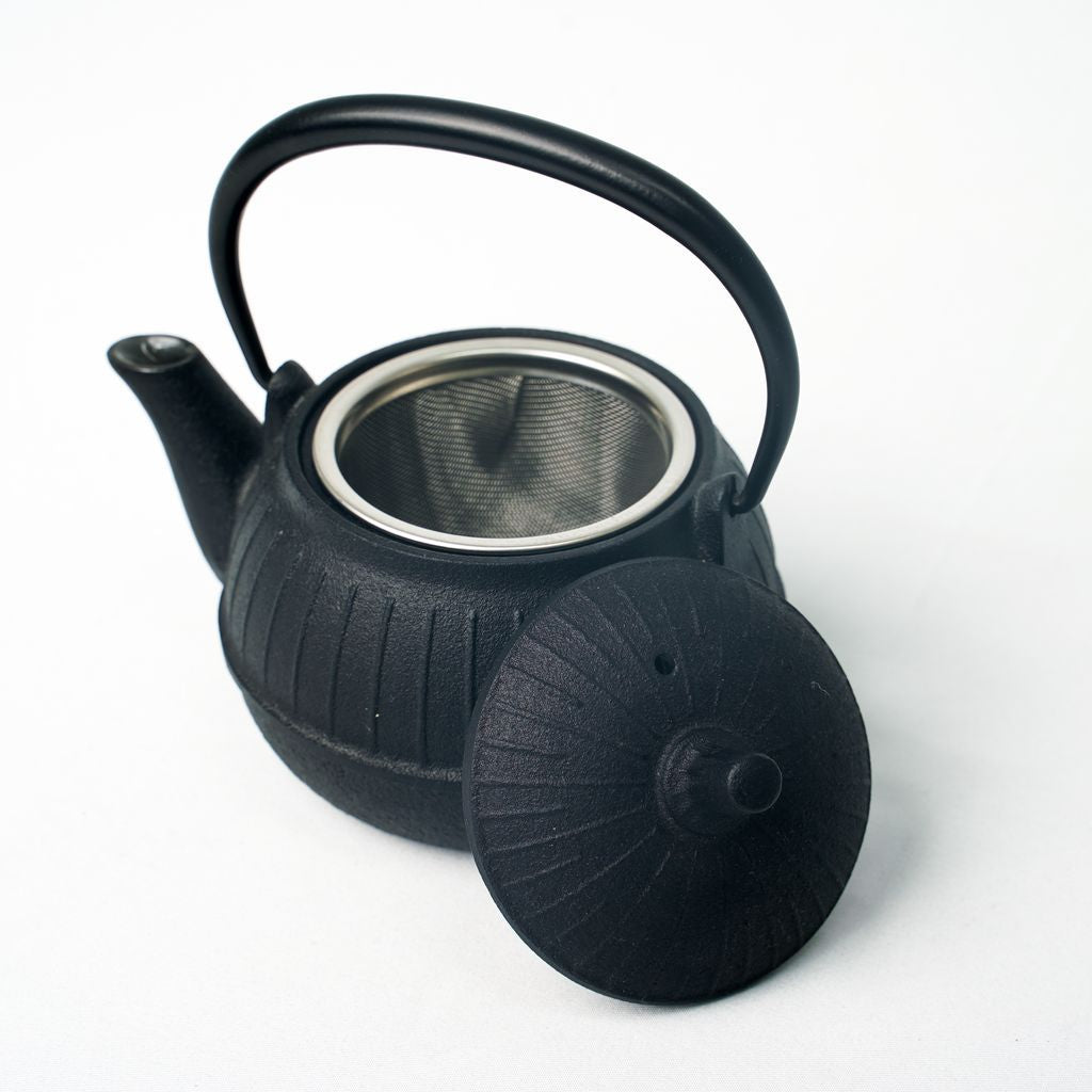 Nambu Ironware Teapot "Chigusa 0.25L"