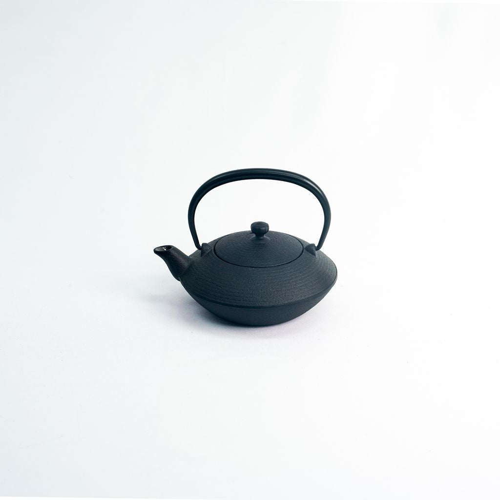 Nambu Ironware Teapot "Hiragataitome 0.2L"