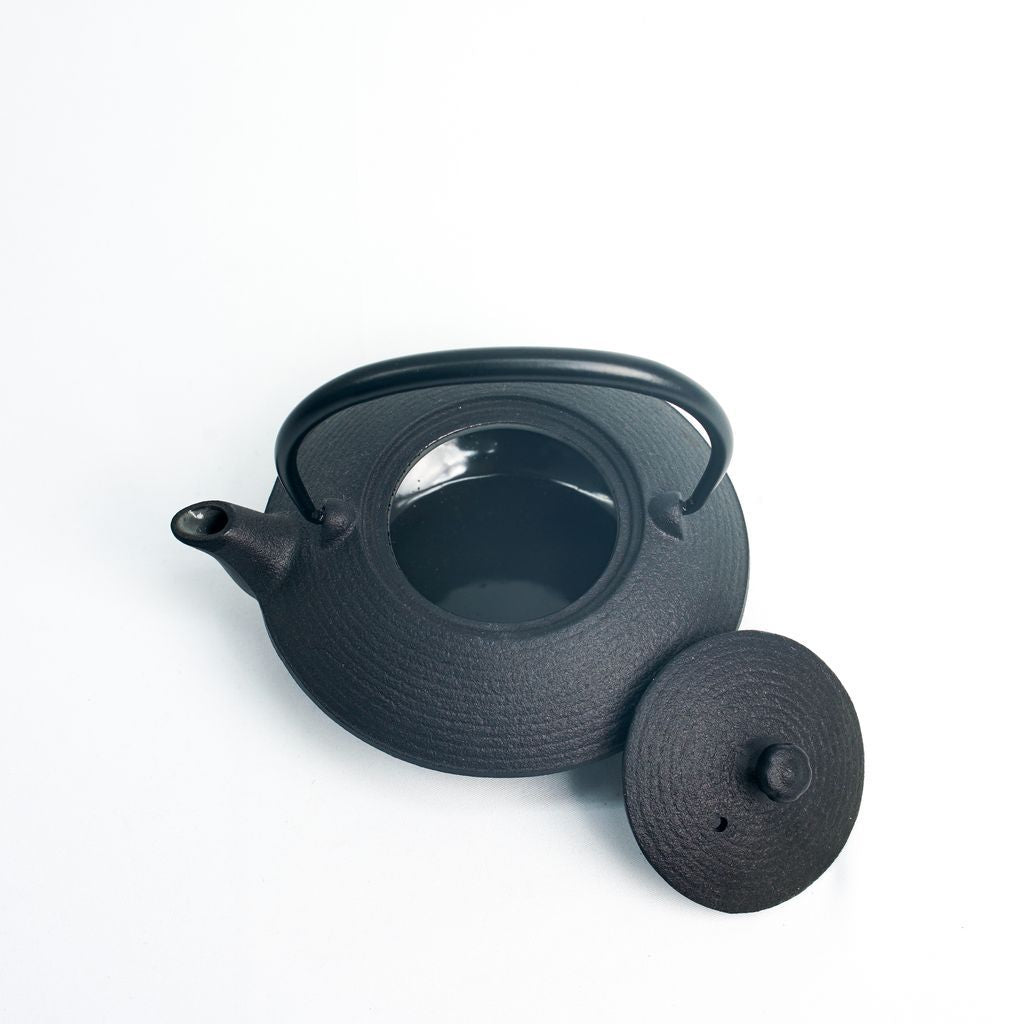 Nambu Ironware Teapot "Hiragataitome 0.2L"