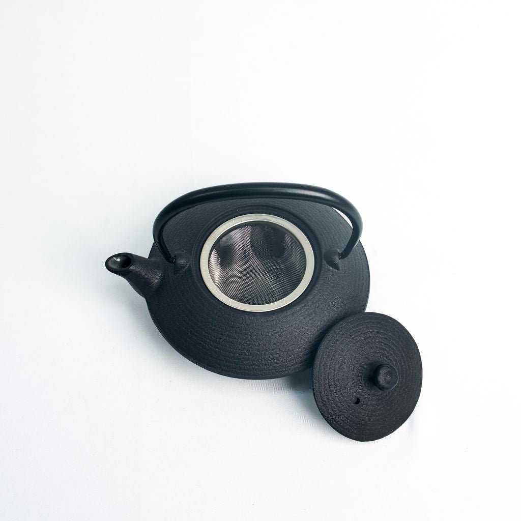 Nambu Ironware Teapot "Hiragataitome 0.2L"