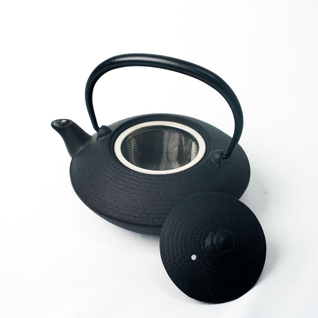 Nambu Ironware Teapot "Hiragataitome 0.2L"