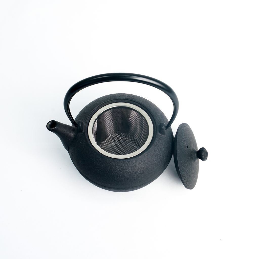 Nambu Ironware Teapot "Tsubomi gata Koyuki 0.6L"